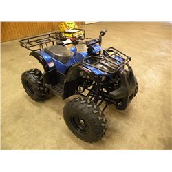2015 Taotao 125cc youth ATV SN#-L5NAAHTJ0F1061894