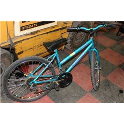 TYPHOON PATHFINDER 12 SPEED BIKE