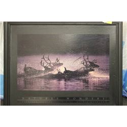 "NATURAL WONDERS" WOOD FRAMED PICTURE
