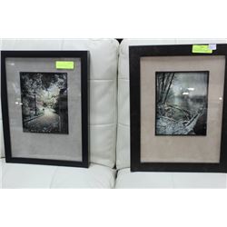 SET OF 2 INLAYED WILDERNESS/SCENIC FRAMED