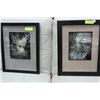 Image 1 : SET OF 2 INLAYED WILDERNESS/SCENIC FRAMED