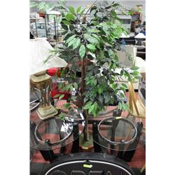 6FT TALL FLOOR PLANT