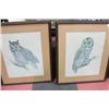 Image 1 : PAIR OF ESTATE FRAMED OWL PICTURES