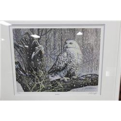 PAUL PERREAULT OWL PICTURE  #501/650