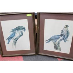 PAIR OF WOOD FRAMED BIRD PICTURES