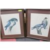 Image 1 : PAIR OF WOOD FRAMED BIRD PICTURES