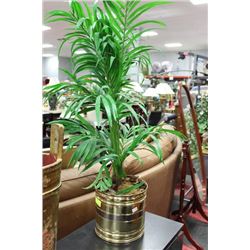 ARTIFICIAL PLANT W BRASS PLANTER ON CHOICE
