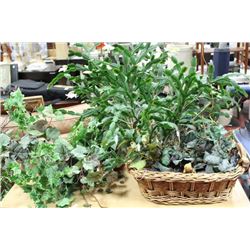 2 ARTIFICIAL AND 1 REAL PLANT