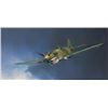 Image 1 : Jack Fellows Tiger! Robert T Smith AVG P-40C Number 77