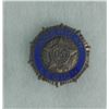 Image 3 : U.S. WWI & WWII INSIGNIAS IN RIKER MOUNT