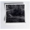 Image 2 : 2 ORIG NAZI HAT COCKADES + PHOTO OF DEAD NAZIS