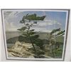 Image 2 : FRAMED LIMITED EDITION PRINT TITLED "WHITE PINE" BY GROUP OF 7 ARTIST A J CASSON 106/950