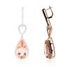 Image 4 : 14KT Rose Gold 26.14 ctw Morganite and Diamond Earrings