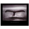 Image 1 : Tails of Great Whales by Wyland