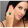 Image 1 : 14KT White Gold 17.13 ctw Emerald and Diamond Ring
