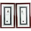 Image 2 : John White limited edition lithographic suite of 3