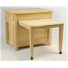 Image 2 : Kitchen table/ work cabinet