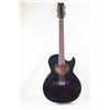 Image 1 : Washburn 12 string acoustic guitar