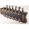 Image 7 : Washburn 12 string acoustic guitar