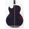 Image 9 : Washburn 12 string acoustic guitar