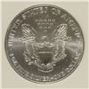 Image 3 : 1998 AMERICAN SILVER EAGLE, PCI MS-70!  BOOKS FOR $1400.00