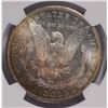 Image 3 : 1904-O MORGAN DOLLAR NGC MS64