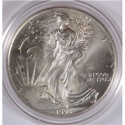 1993 SILVER AMERICAN EAGLE