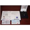 Image 1 : Ladies 14kt Diamond Pendant and Chain.