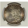 Image 2 : 1887 MORGAN DOLLAR NGC MS-64 COLOR
