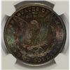 Image 2 : 1899-O MORGAN DOLLAR NGC MS-63 RAINBOW COLOR REVERSE MOUNTED