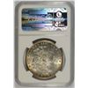 Image 4 : 1899-O MORGAN DOLLAR NGC MS-63 RAINBOW COLOR REVERSE MOUNTED