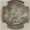 Image 2 : 1904-O MORGAN SILVER DOLLAR, NGC MS-64