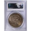 Image 4 : 1902 MORGAN DOLLAR PCGS MS-62 NICE EVEN TONE