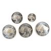 Image 2 : (3) 1/2 OUNCE (1)  1/4 OUNCE & (1) 1/10 OUNCE .999 SILVER BUFFALO/INDIAN ROUNDS