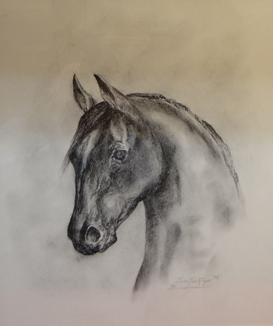 Cuts The Rope, Clarence, original charcoal drawing, horse head, 1995