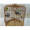 Image 2 : CHINESE BAMBOO CARVED BIRDCAGE