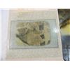 Image 2 : KOALA BEAR VINTAGE MIRRO-SCENE MIRROR TILES