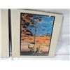 Image 4 : LOT 3 DECORATIVE CERAMIC TILES