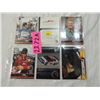 Image 1 : LOT 6 DALE EARNHARDT JR RACING CARDS