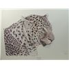 Image 2 : AFRICAN LEOPARD JILL FOGELSONG PRINT