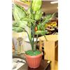 Image 1 : ARTIFICIAL PLANT