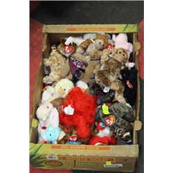 BOX OF TY BEENIE BABIES