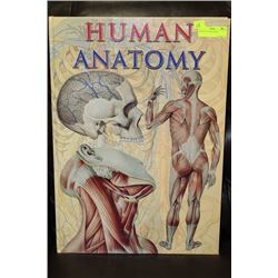 HUMAN ANATOMY BOOK