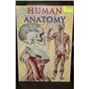 Image 1 : HUMAN ANATOMY BOOK