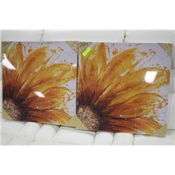 PAIR OF SHOWHOME CANVAS FLOWER PICTURES