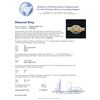 Image 6 : 14KT White Gold 0.82ctw Cushion Cut Diamond Ring