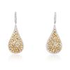 Image 3 : 14KT Two-Tone Gold 4.47ctw Diamond Earrings