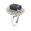 Image 5 : 14KT White Gold 11.66ct Sapphire and Diamond Ring