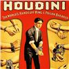 Image 2 : Houdini by RE Society