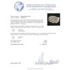 Image 6 : 14KT White Gold 1.06ctw Diamond Ring